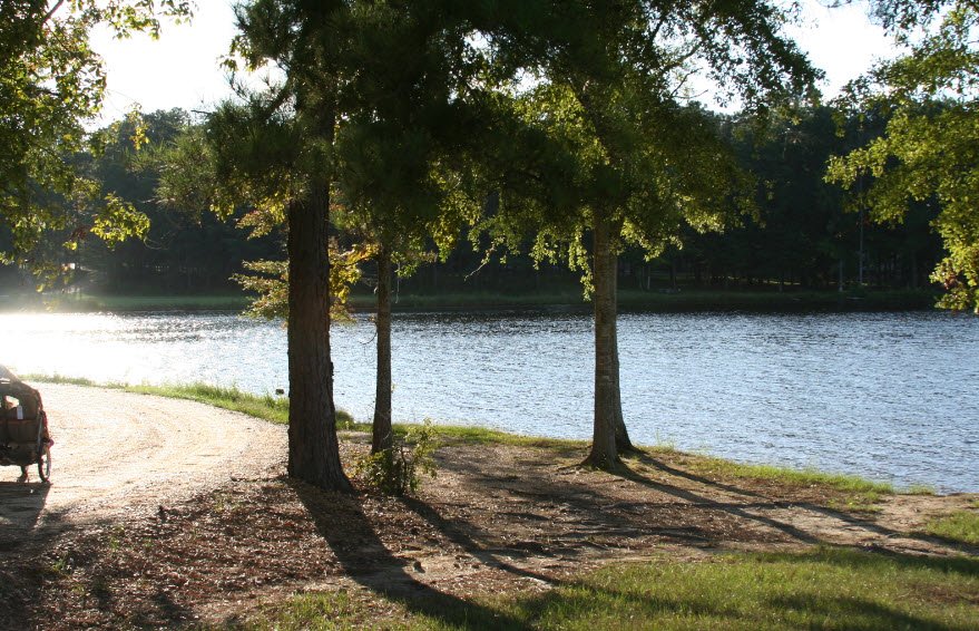 Lake Lincoln State Park, Mississippi, USA